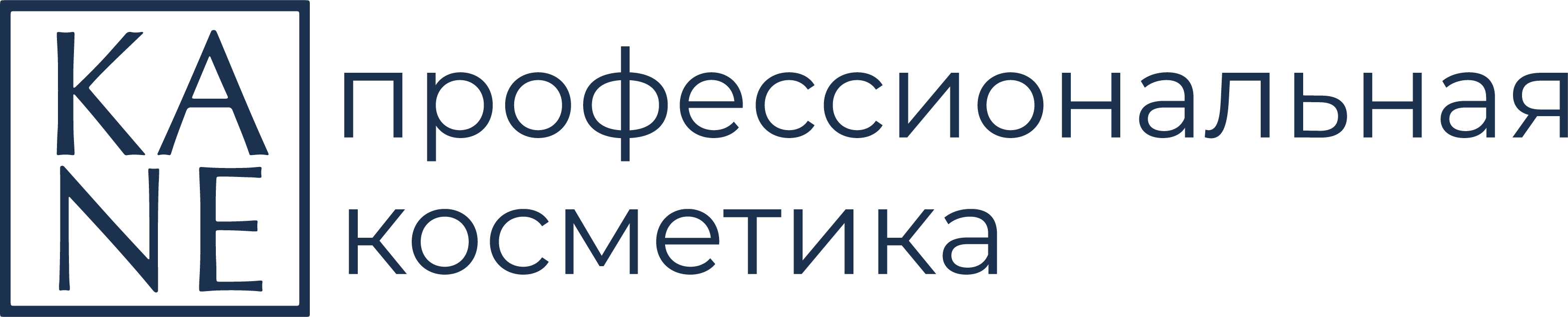 kaneprofessional.com kaneprofessional.com